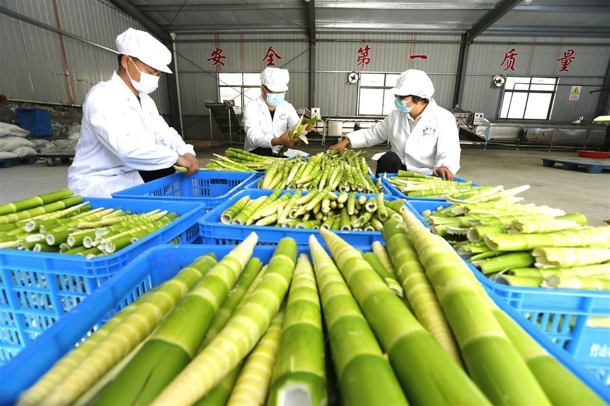 竹山农产品借力商会平台，打通进京销售新通道