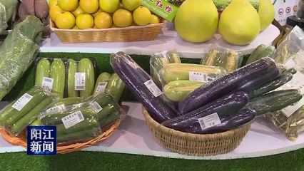 阳江名特优新农产品闪耀国际农交会，“区块链+农业”引领智慧销售新潮流