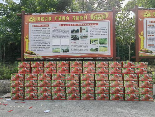 情暖民心铺就致富路 湖北省东汉文化研究会助力农产品销售