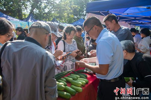 北海银海区产销对接结硕果，特色农产品签约金额突破4000万元