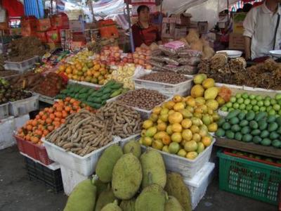 农产品出口退税 政策解析与销售策略优化