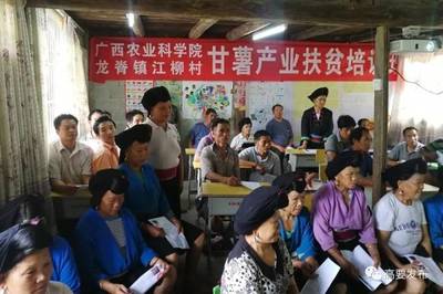 高要助力龙胜脱贫攻坚 粤桂扶贫工厂扎根大山，农产品销售畅通致富路